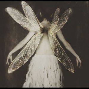 Meet your Posher, Fae